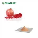 Granaatõuna puuviljapulber