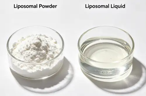 liposomal powder and liquid liposomal powder and liquid